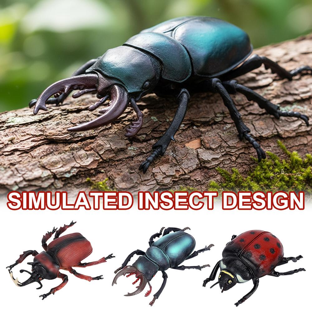 Science Toys - Realistische Hirschkäfer-Figur, Lebensechtes Insektenmodell, Simulations-Actionfigur, Naturwissenschaftliche