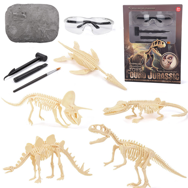Science Toys - Dinosaurier-Fossil-Ausgrabungsset STEM Ausgrabbare Dinosaurierskelett-Modelle Lehrreiche Wissenschaftsgeschenke