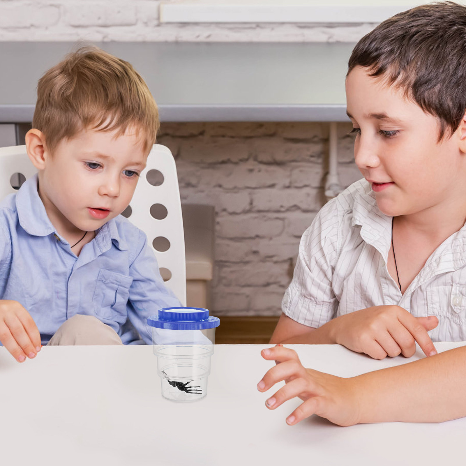 Dreiteilige Insektenbeobachtun – Science Toys Bewertung und Preis