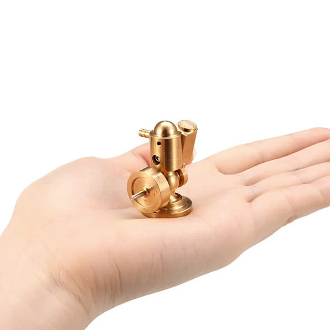 Modell Physikalische Wissensch – Science Toys Bewertung und Preis