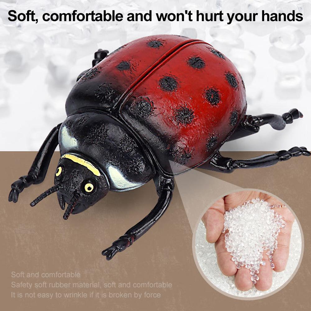 Realistische Hirschkäfer-Figur – Science Toys Bewertung und Preis