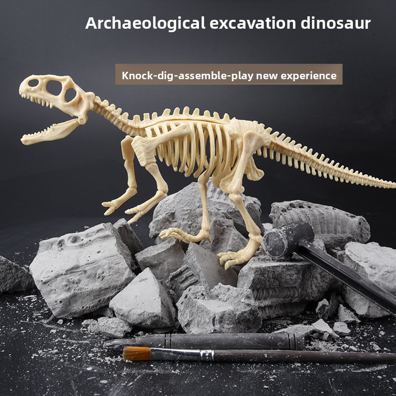 Dinosaurier-Fossil-Ausgrabungs – Science Toys Bewertung und Preis