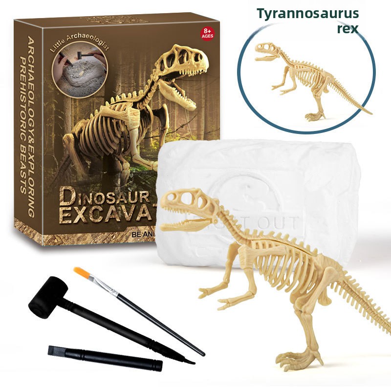 Dinosaurier-Fossil-Ausgrabungs – Science Toys Bewertung und Preis