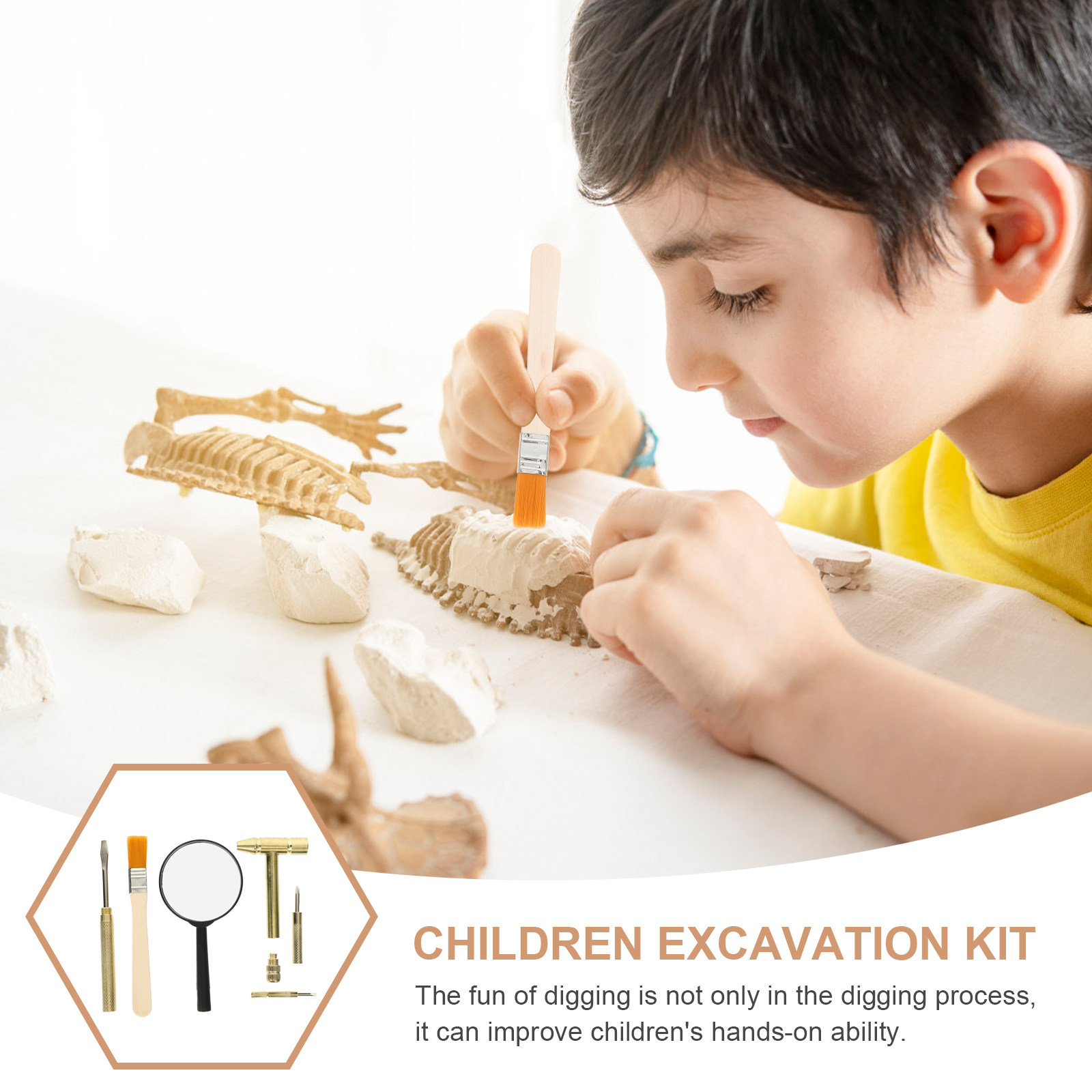 1 Set Kinder-Ausgrabungswerkze – Science Toys Bewertung und Preis